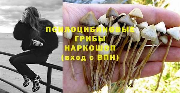 прущая мука Алексин