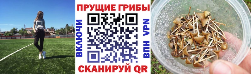 Галлюциногенные грибы GOLDEN TEACHER  blacksprut   Калтан 