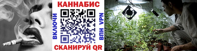 как найти   Калтан  Бошки марихуана гибрид 
